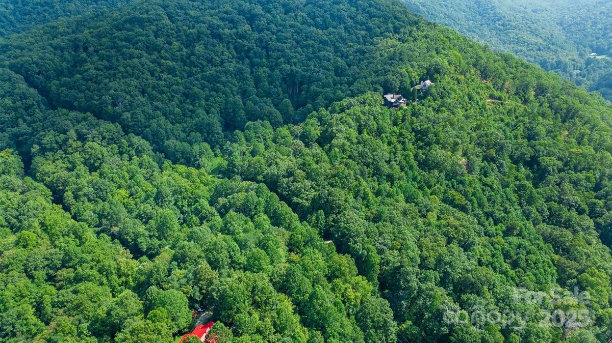 Tbd Hideaway Ridge Trail, Unit 33 & 33A Robbinsville, NC 28771 - Photo 2 of 13 a view of a lush green forest with lots of trees
