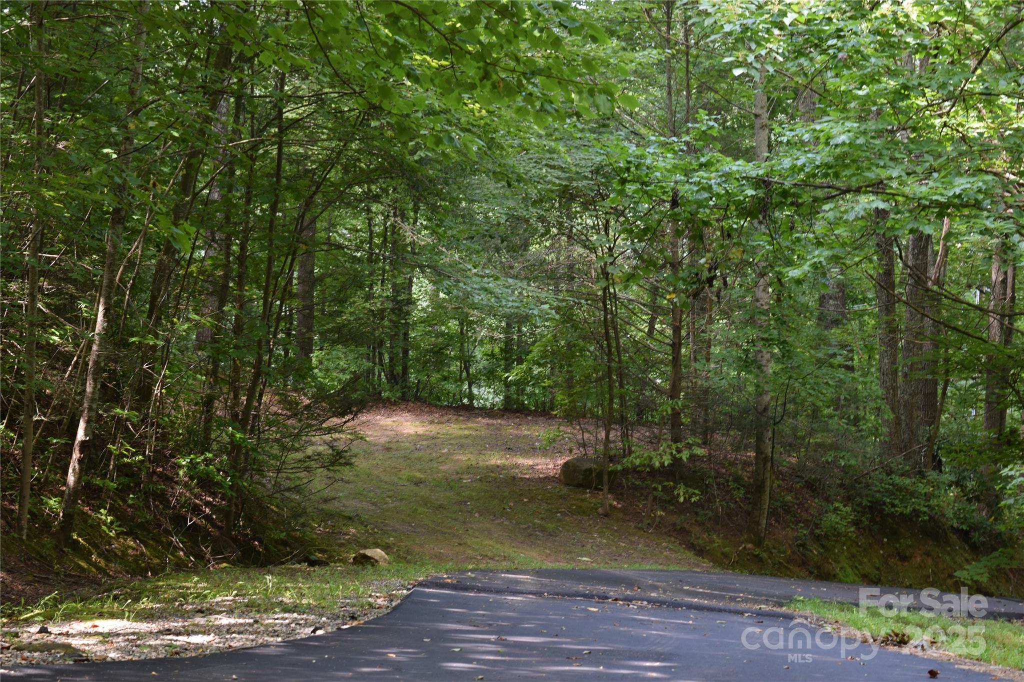 Tbd Hideaway Ridge Trail, Unit 33 & 33A Robbinsville, NC 28771 - Photo 3 of 13 a view of a yard