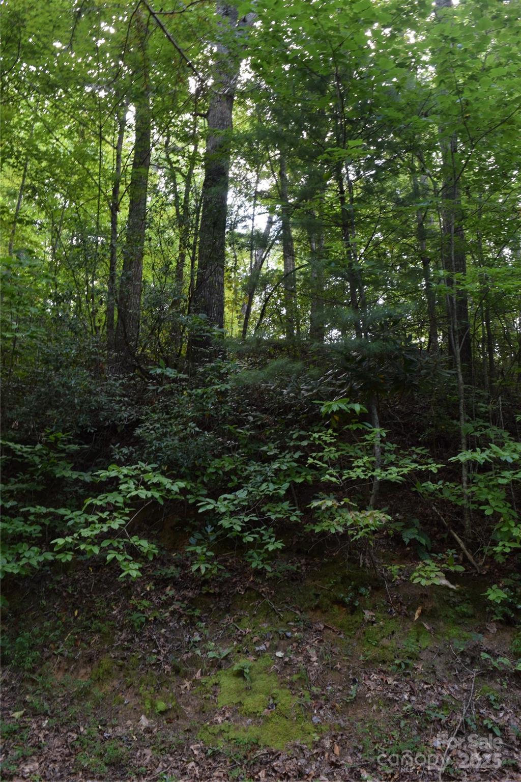 Tbd Hideaway Ridge Trail, Unit 33 & 33A Robbinsville, NC 28771 - Photo 5 of 13 a view of outdoor space and green space