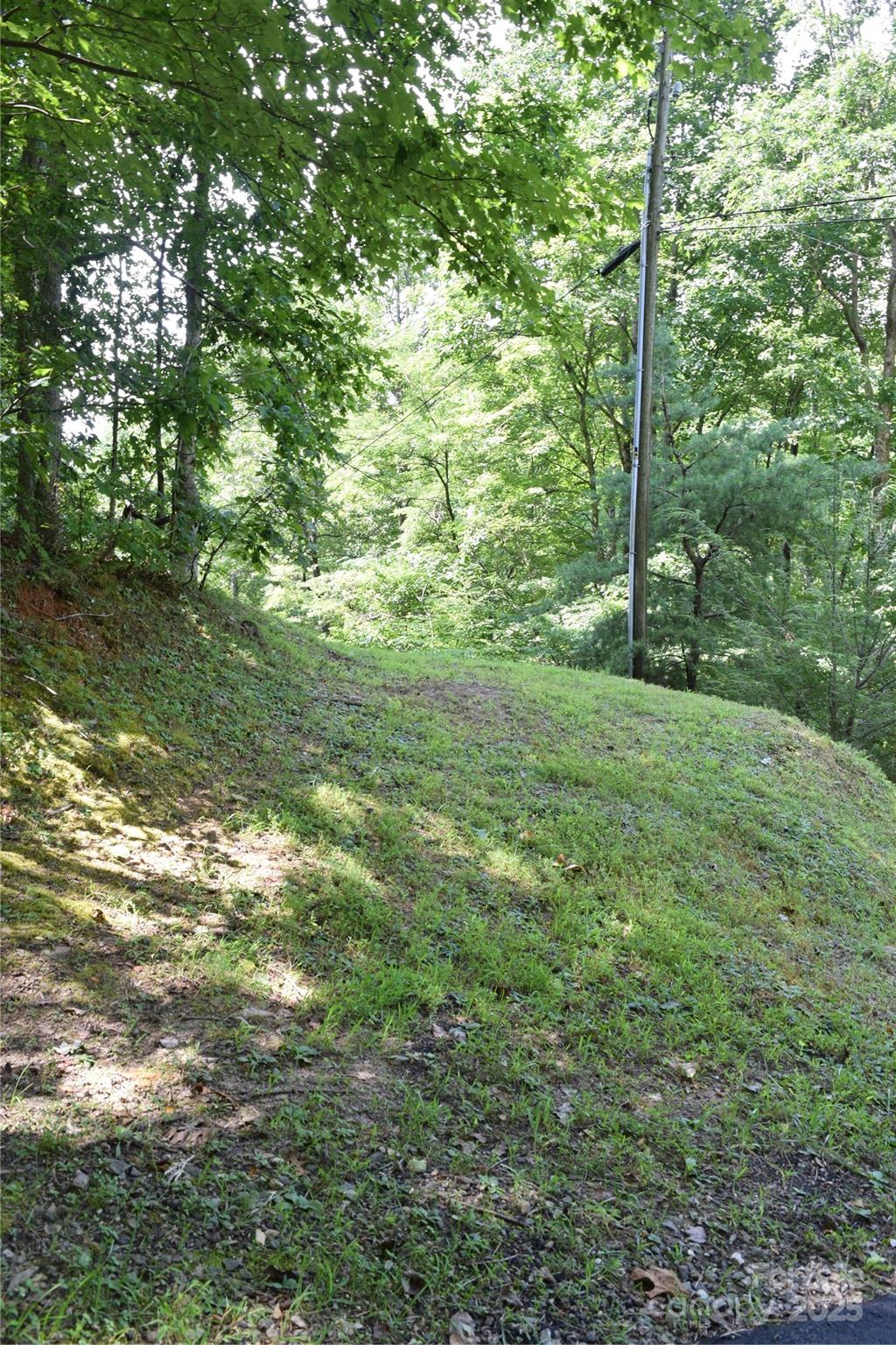 Tbd Hideaway Ridge Trail, Unit 33 & 33A Robbinsville, NC 28771 - Photo 6 of 13 a view of a yard with a trees