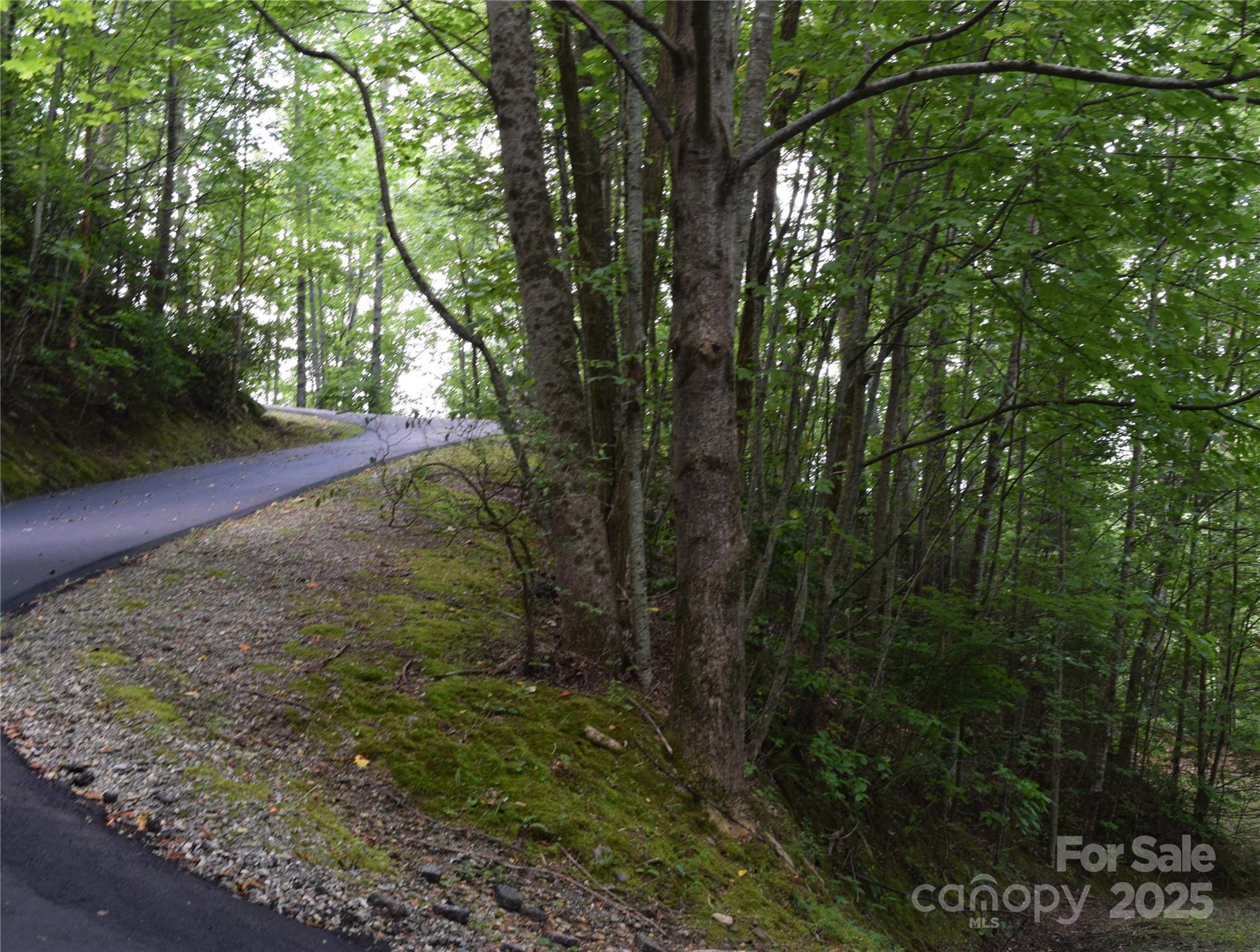 Tbd Hideaway Ridge Trail, Unit 33 & 33A Robbinsville, NC 28771 - Photo 7 of 13 a view of a yard