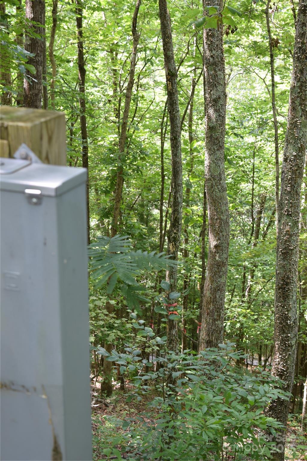 Tbd Hideaway Ridge Trail, Unit 33 & 33A Robbinsville, NC 28771 - Photo 8 of 13 a view of yard from a window