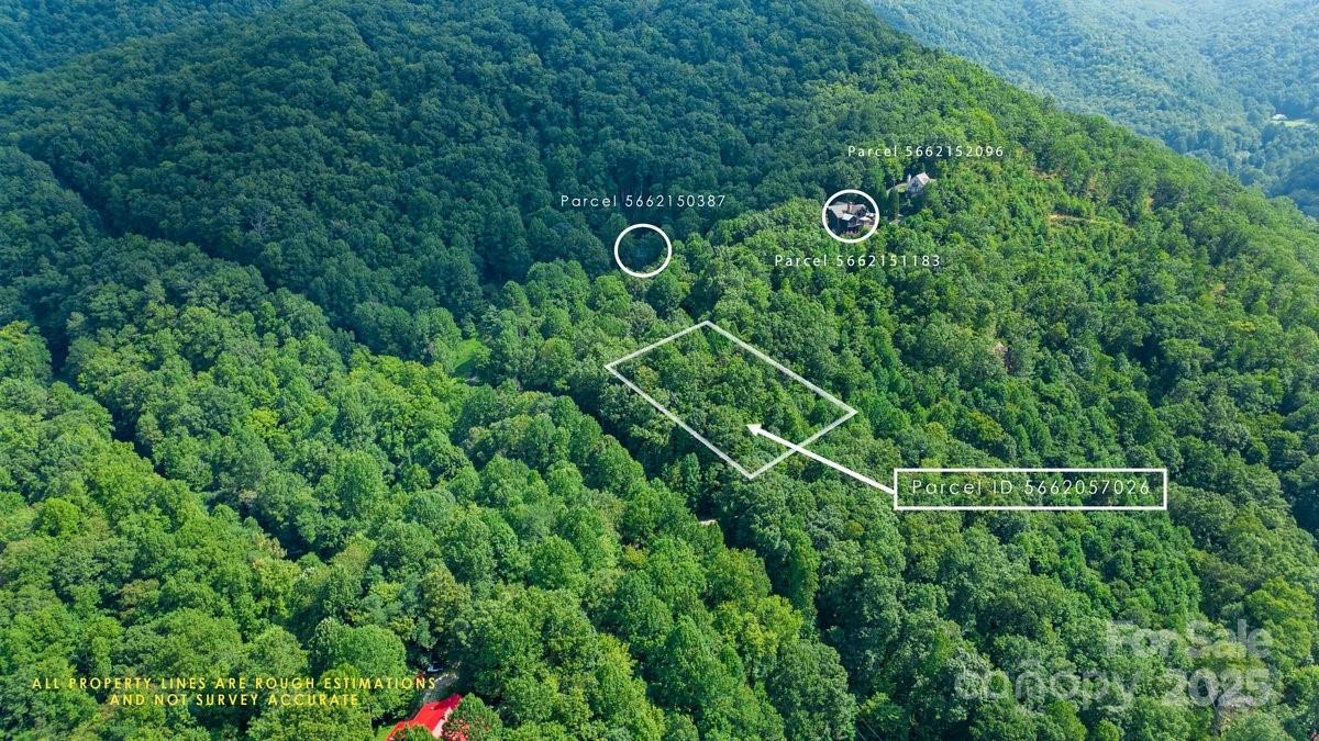 Tbd Hideaway Ridge Trail, Unit 33 & 33A Robbinsville, NC 28771 - Photo 10 of 13 a view of a backyard