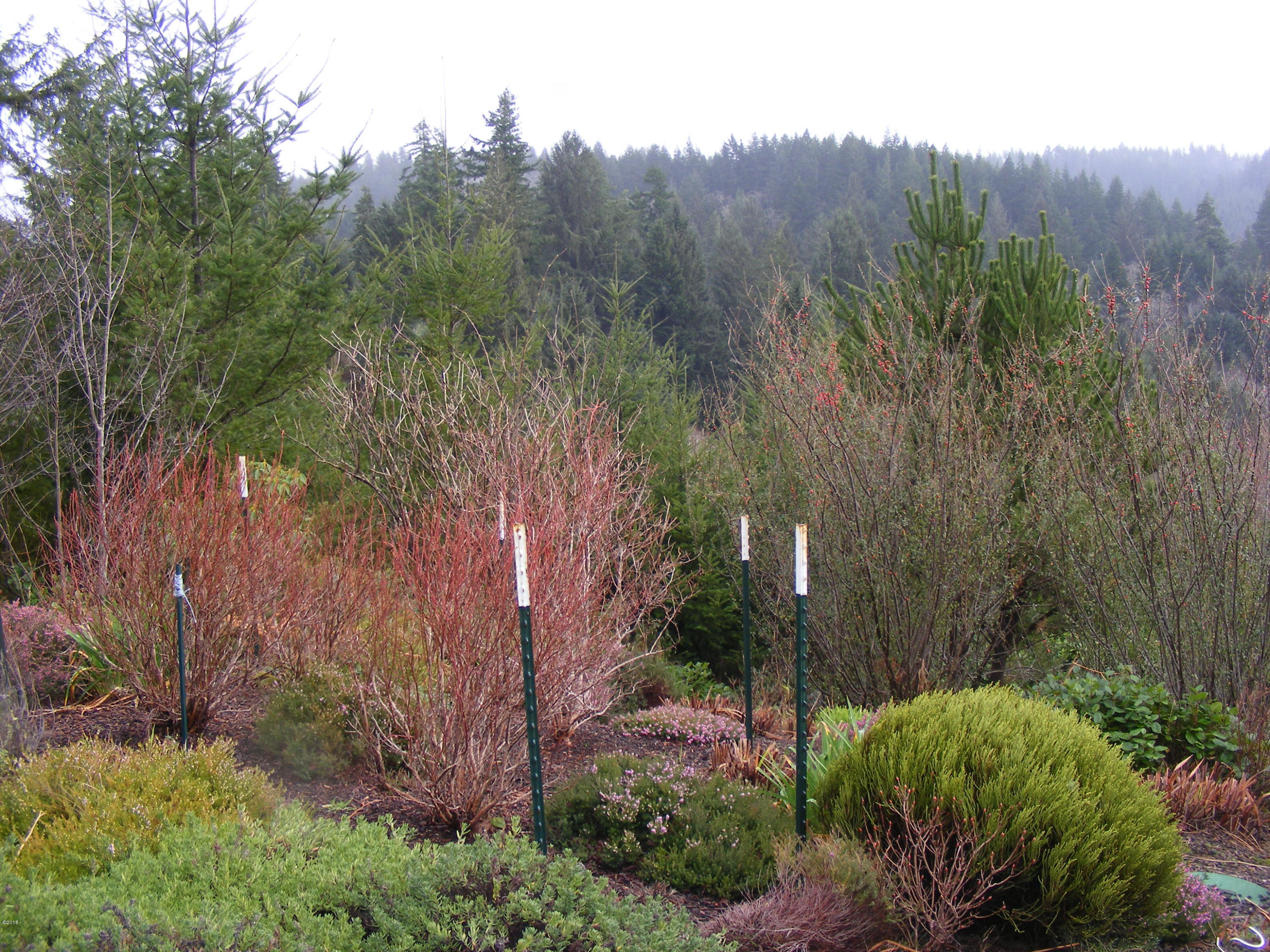 3988 North Bayview Road Waldport, OR 97394 - Photo 18 of 36 landscaping (2)