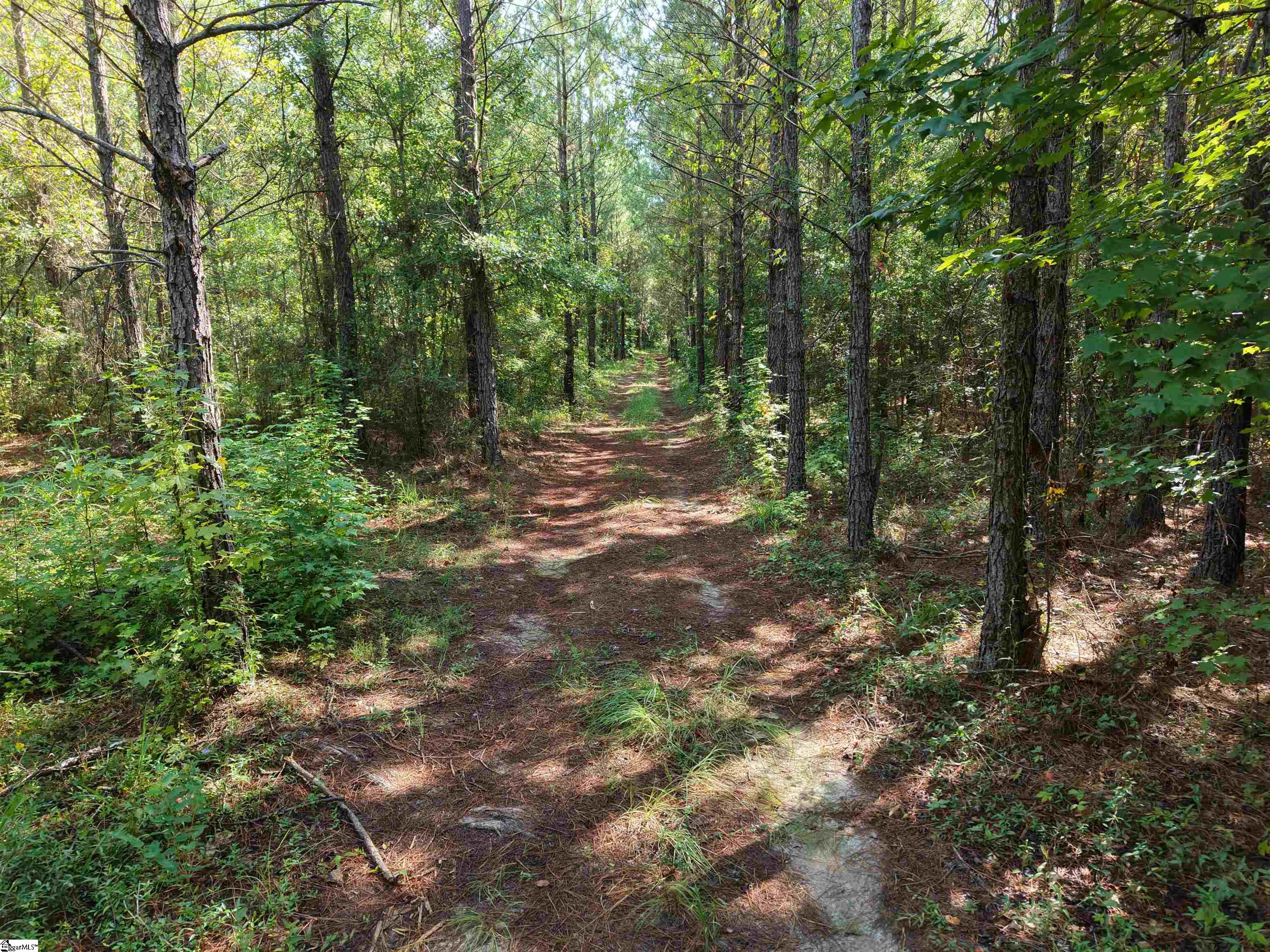 0 Able Road Bamberg, SC 29003 - Photo 3 of 13 Gallery Image 3