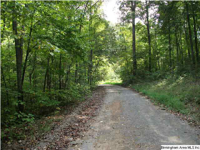777 Clayton Cove Road, Unit 33 AC Pinson, AL 35126 - Photo 1 of 20