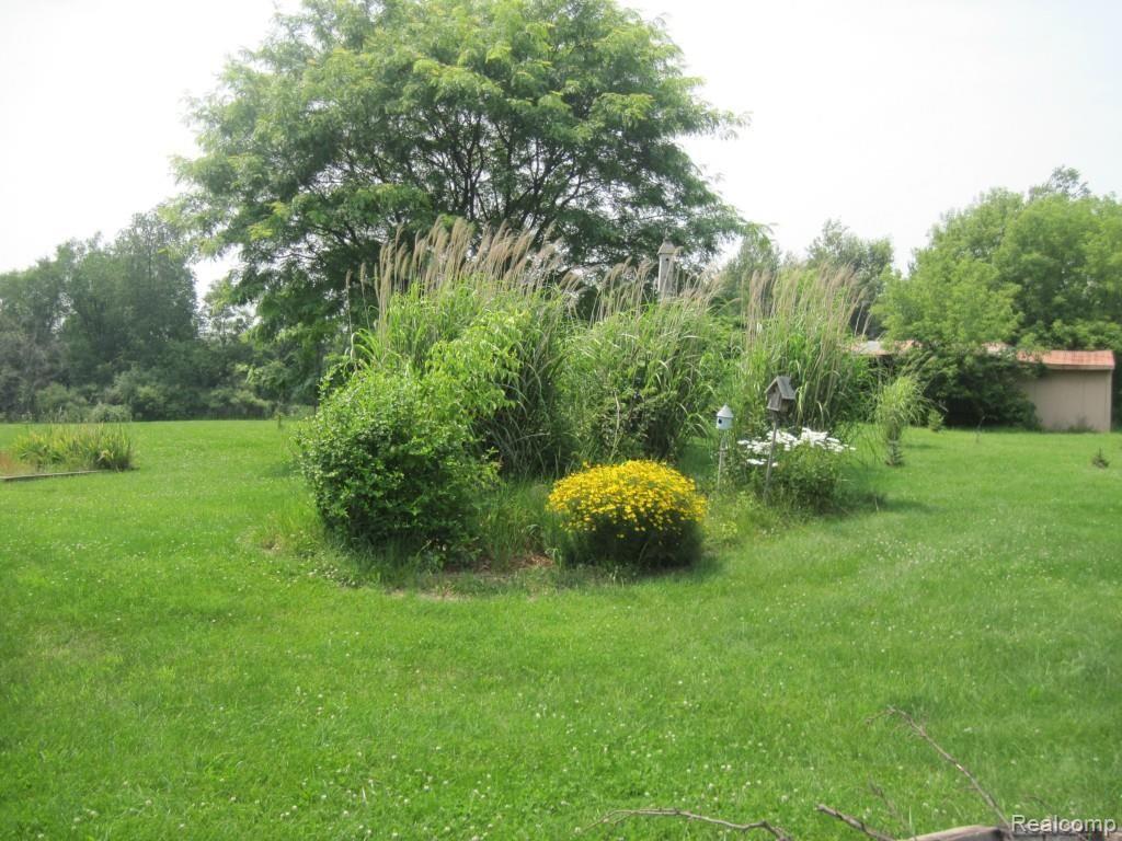 4794 Diehl Road Metamora, MI 48455 - Photo 15 of 16 Backyard landscape