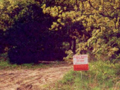 0 Rt 1 Niangua, MO 65713 - Photo 1 of 1 Primary Photo
