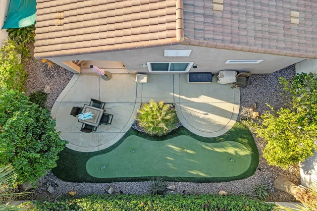 a view of a backyard with plants and palm tree