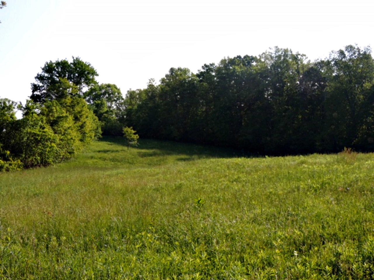 2575 Rackum Road Thorn Hill, TN 37881 - Photo 24 of 34 Gallery Image 24