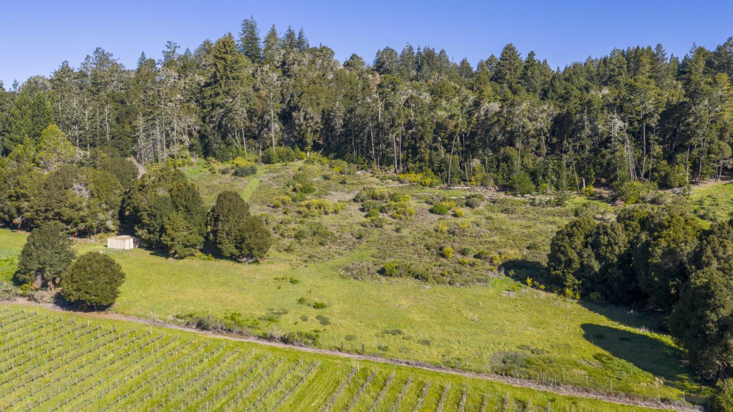 1073 Larsen Road Aptos, CA 95003 - Photo 11 of 18
