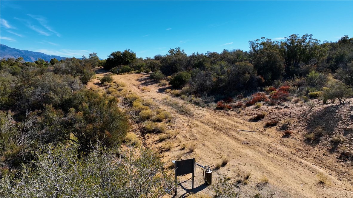 1 Chapman Road Anza, CA 92539 - Photo 13 of 18 a view of a dry yard with trees
