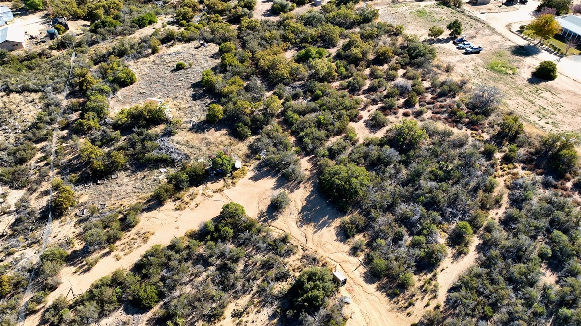1 Chapman Road Anza, CA 92539 - Photo 16 of 18 a view of a forest