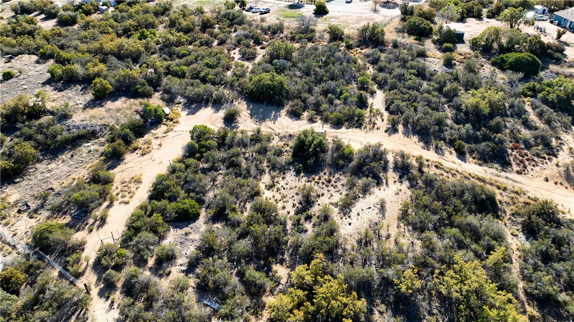 1 Chapman Road Anza, CA 92539 - Photo 17 of 18 a view of a forest