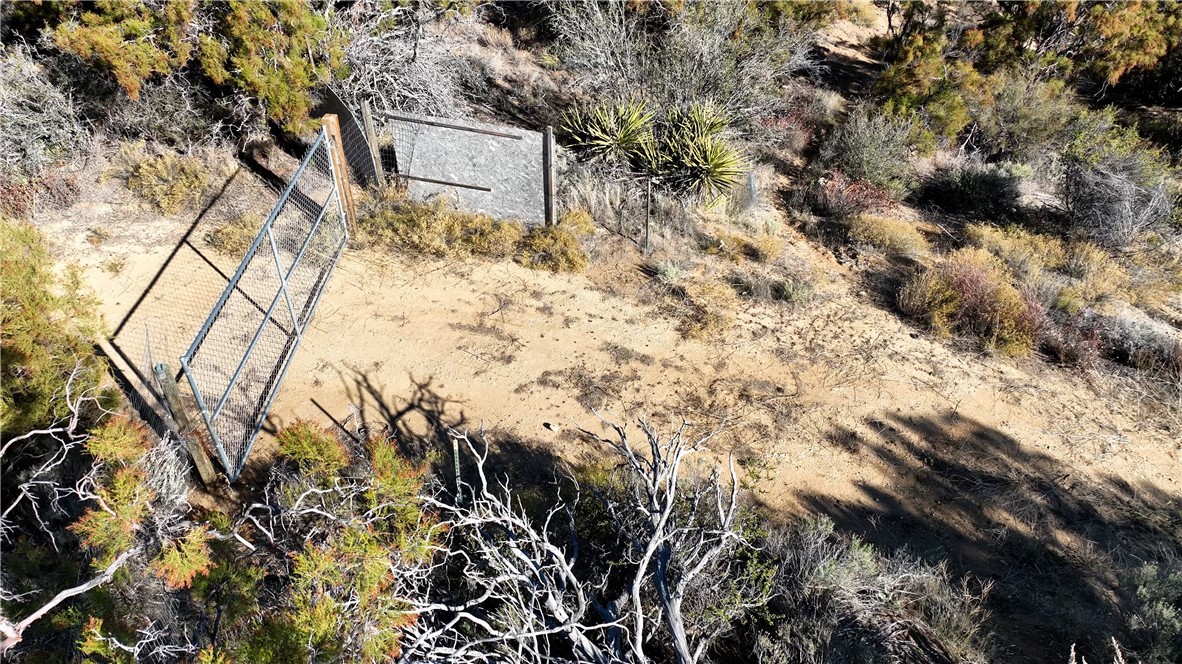 1 Chapman Road Anza, CA 92539 - Photo 18 of 18 a view of a wooden wall with a tree