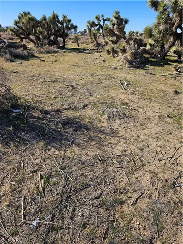 a view of ocean beach