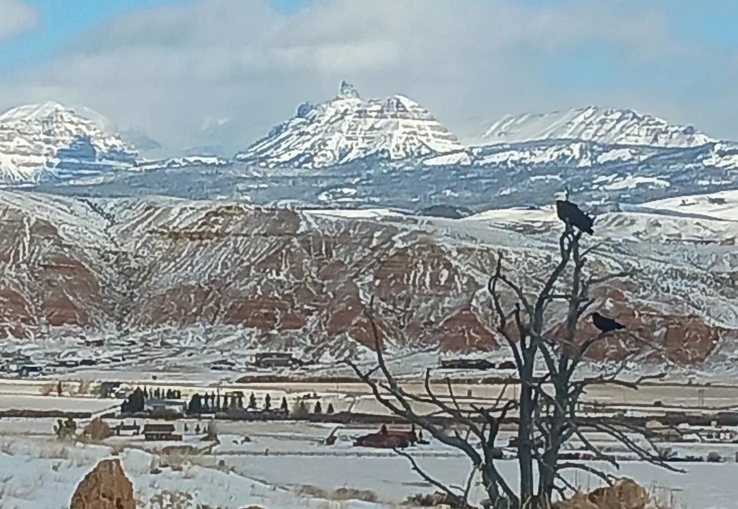 183 Bald Mountain Road Dubois, WY 82513 - Photo 8 of 48