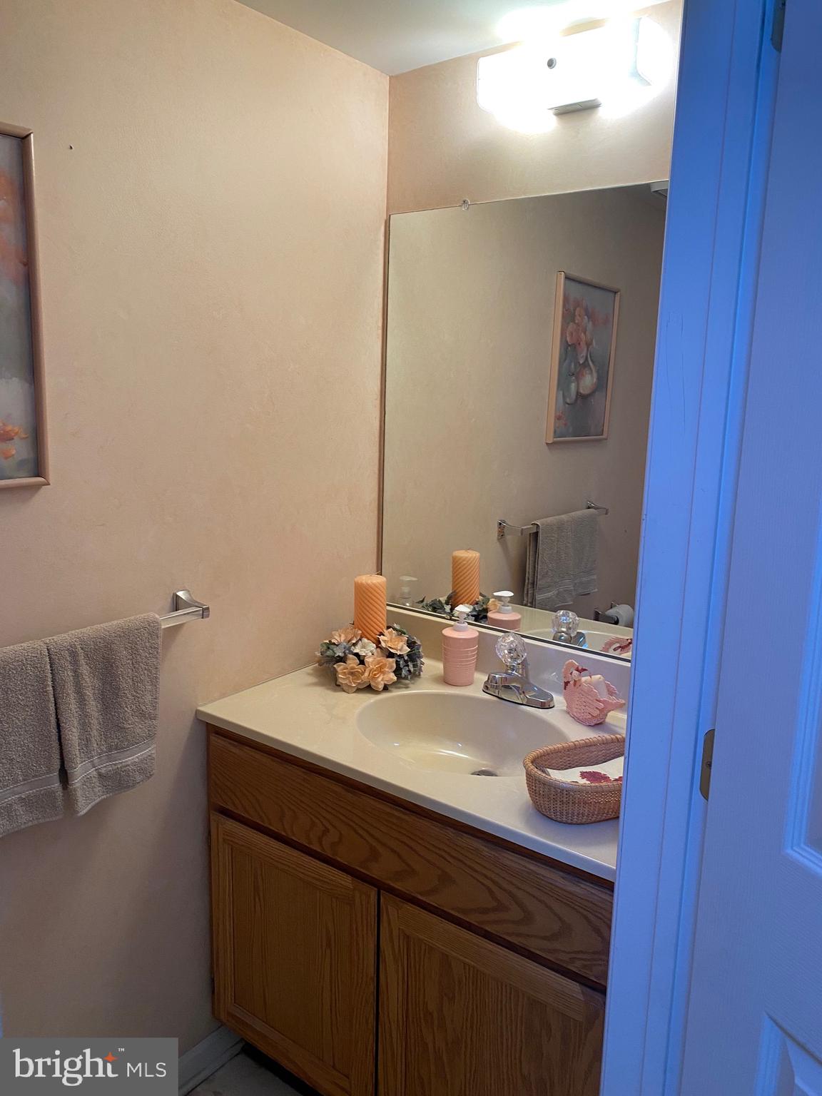 79 Springcress Drive Delran, NJ 08075 - Photo 7 of 53 Gallery Image 7