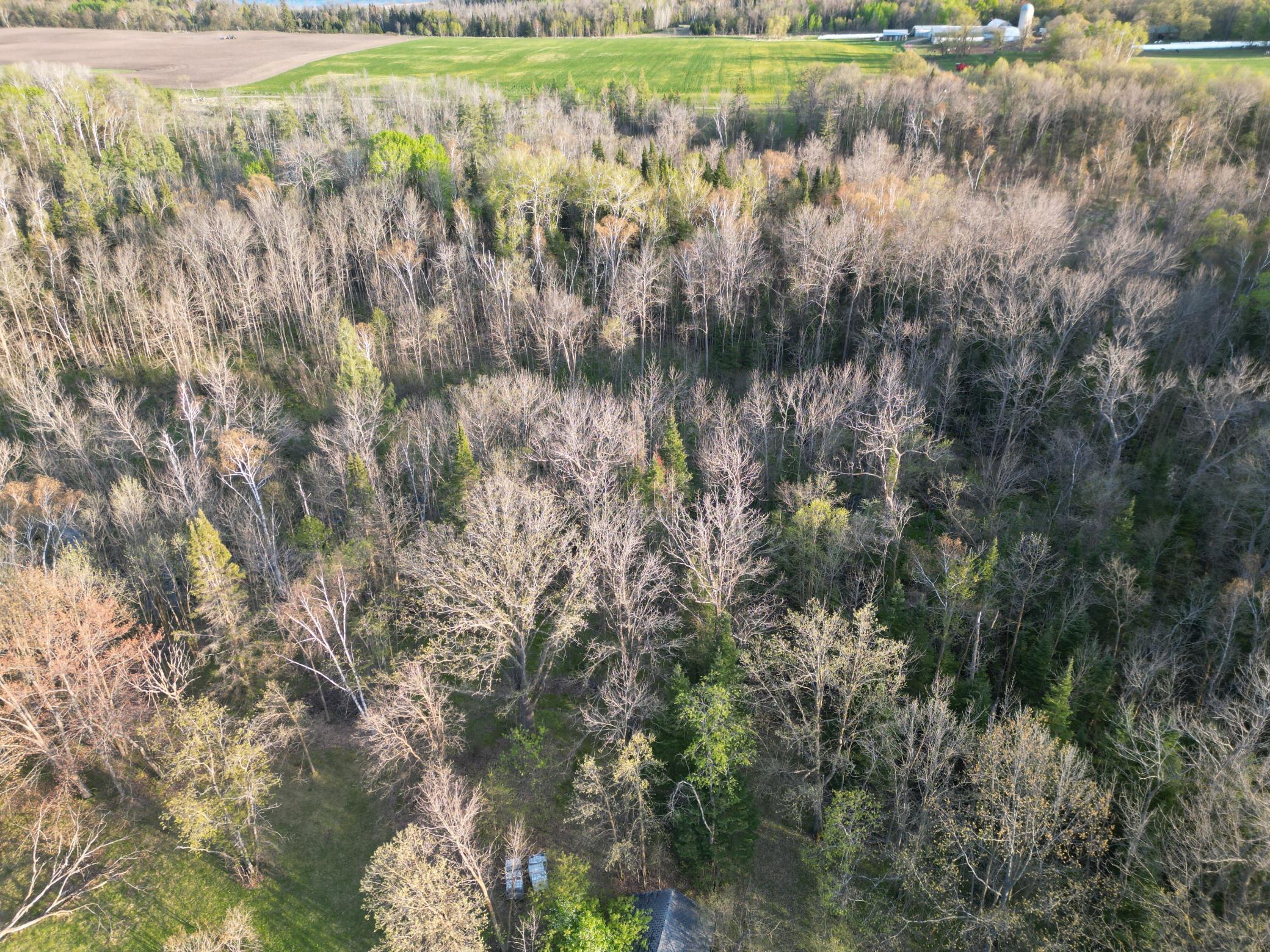 50924 500th Street Perham, MN 56573 - Photo 8 of 10