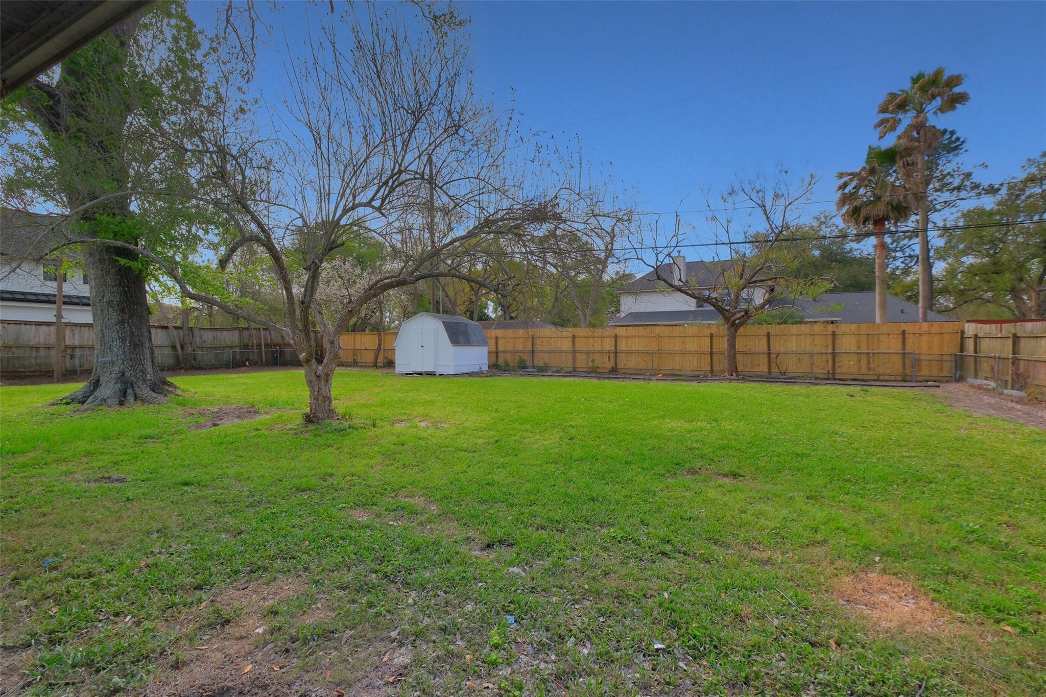 9419 Campbell Road Houston, TX 77080 - Photo 26 of 29 a view of yard with tree s