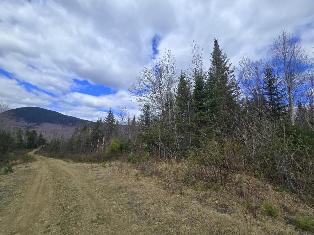 36 Chimney Rock Road Temple, ME 04984 - Photo 3 of 19