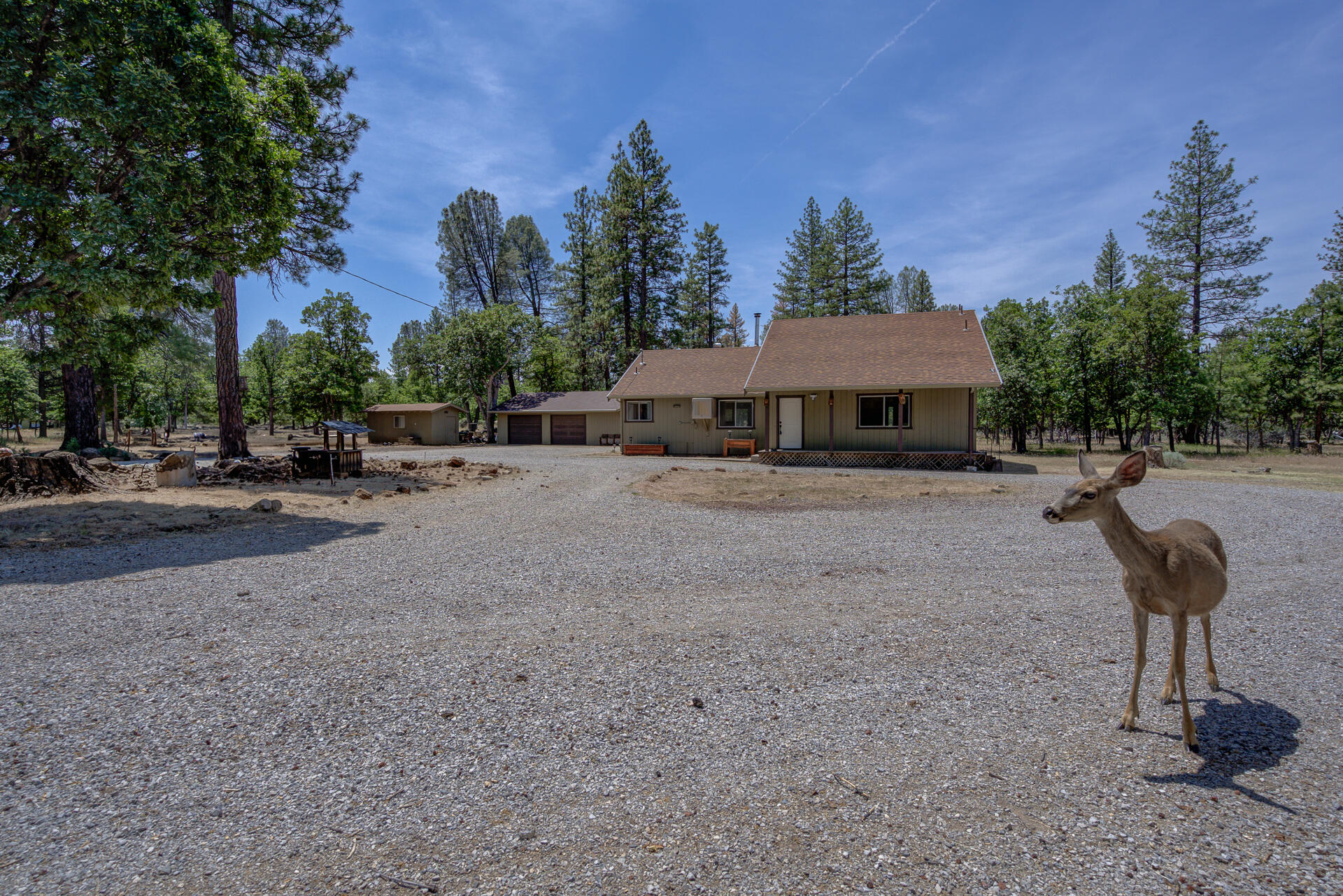 21652 Rattlebush Drive Cassel, CA 96016 - Photo 1 of 46 21652RattlebushRoad-34