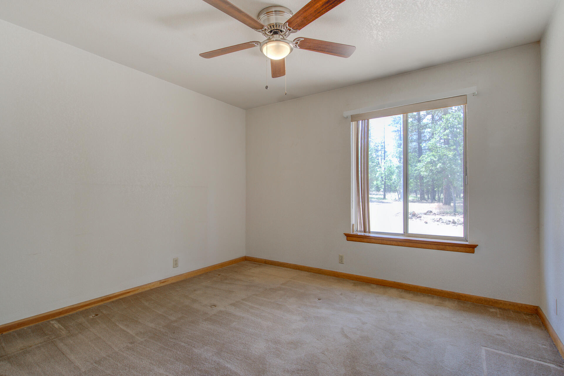 21652 Rattlebush Drive Cassel, CA 96016 - Photo 30 of 46 21652RattlebushRoad-31