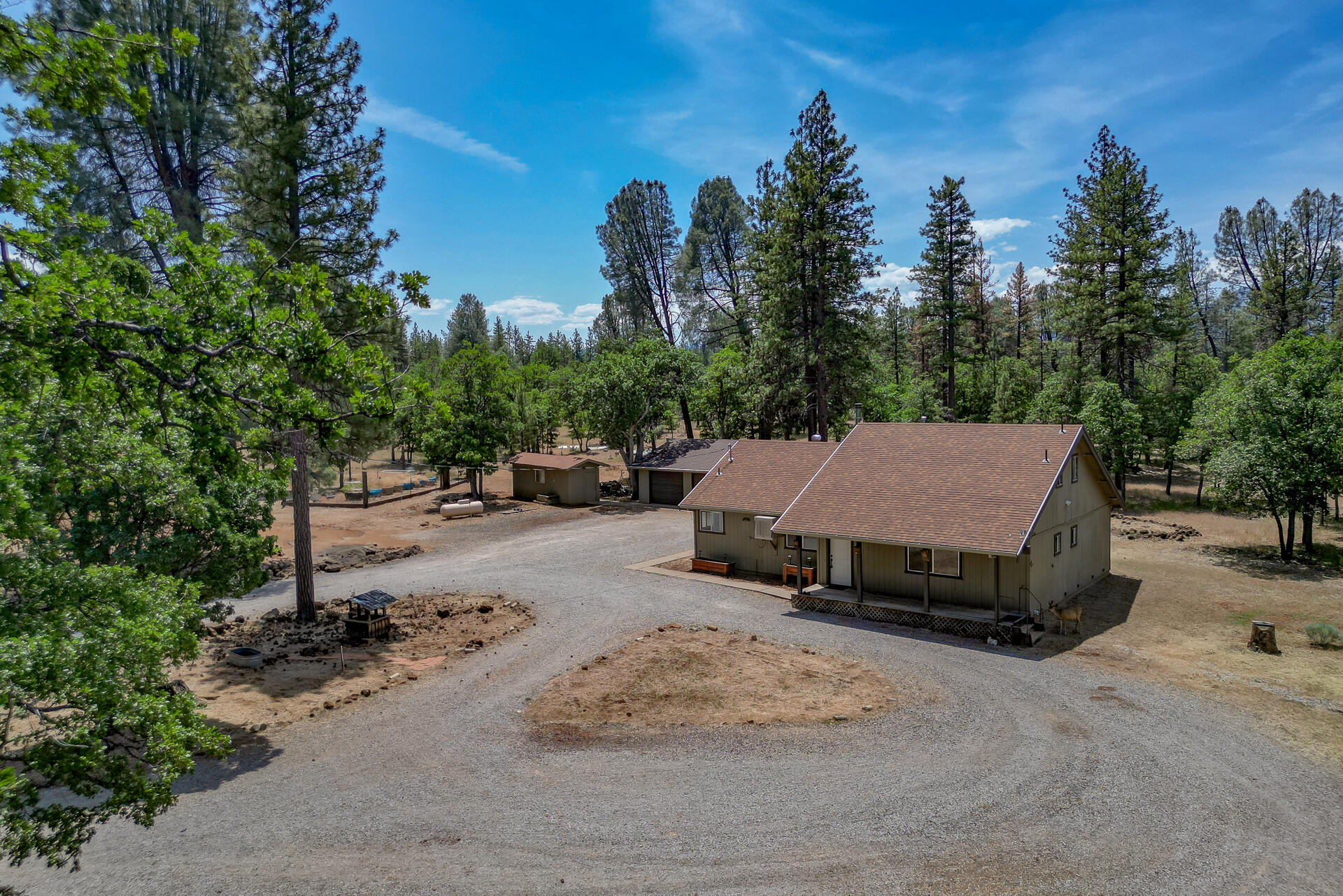 21652 Rattlebush Drive Cassel, CA 96016 - Photo 3 of 46 21652RattlebushRoad-56