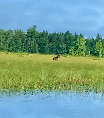 $374,900 | 49 Christmas Cove Road, Crawford, ME 04694