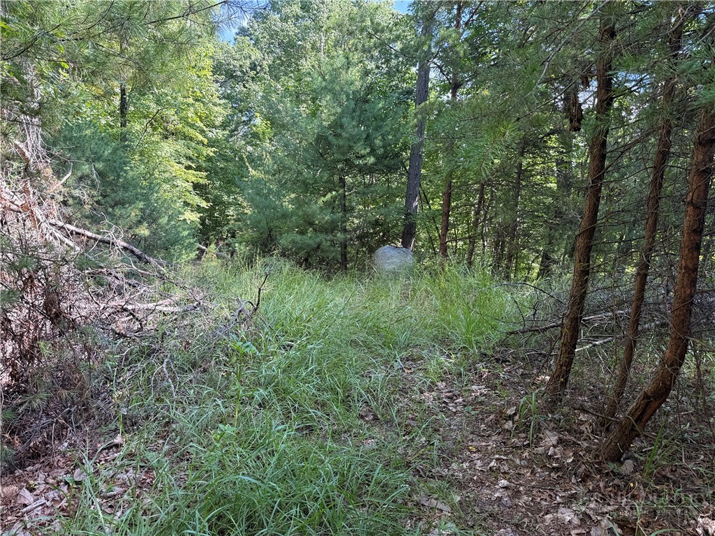 Lot 24 Wolf Pen Road Purlear, NC 28665 - Photo 15 of 42 Gallery Image 15