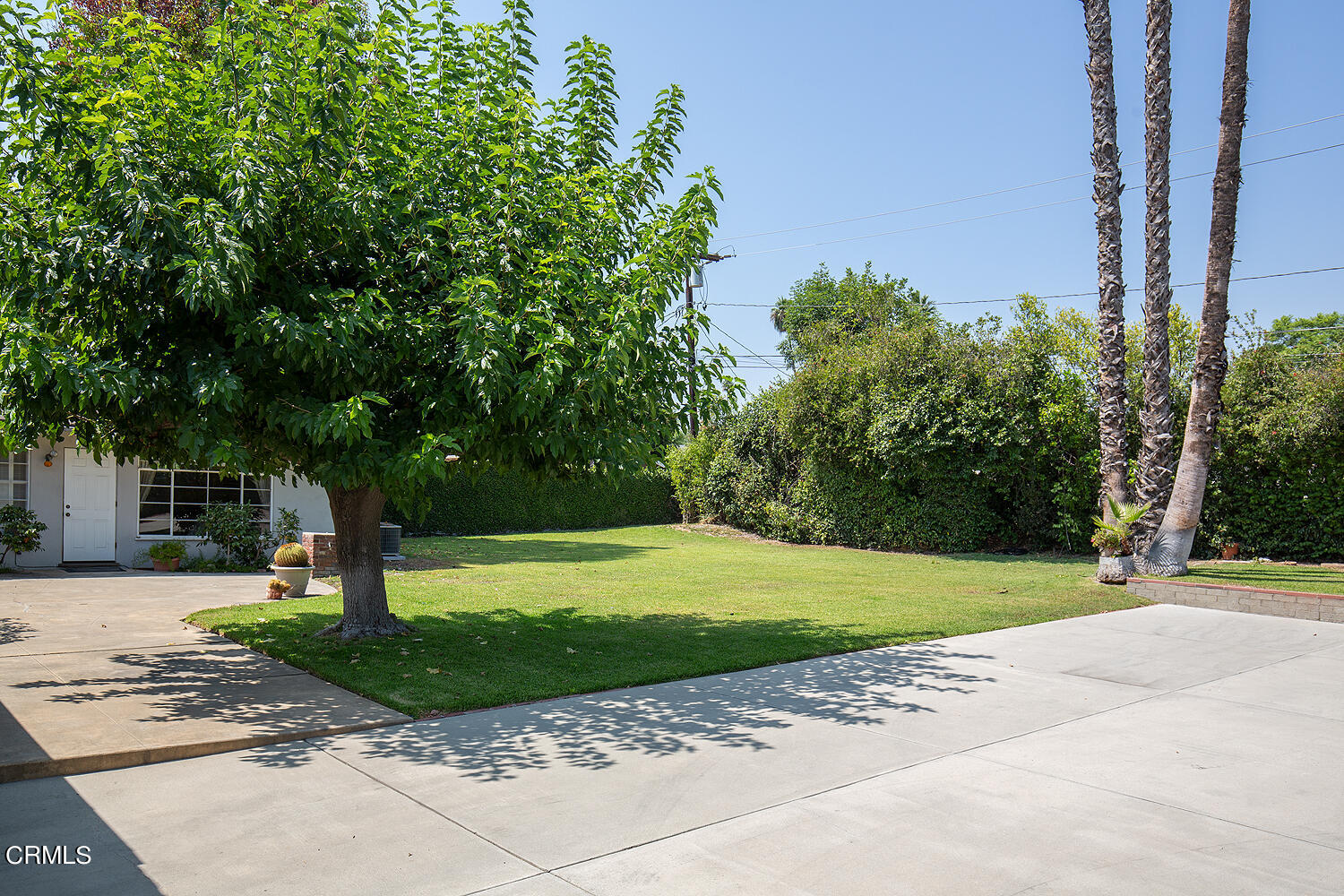 3775 Hampton Road Pasadena, CA 91107 - Photo 22 of 28 a view of a park with large trees