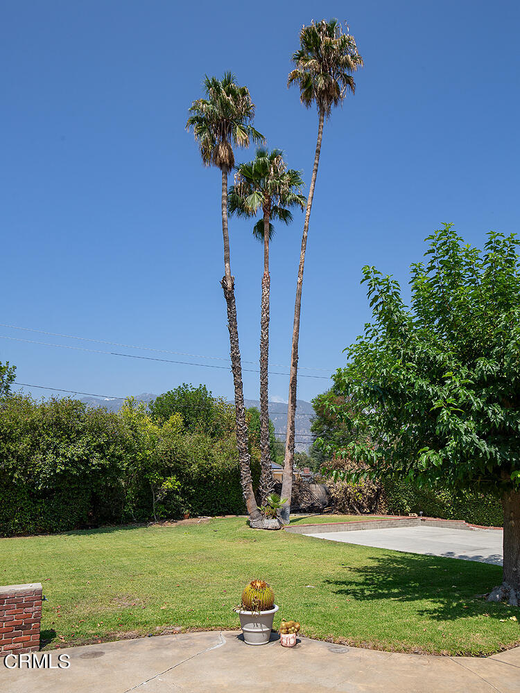 3775 Hampton Road Pasadena, CA 91107 - Photo 25 of 28 a view of a tree with a flower garden