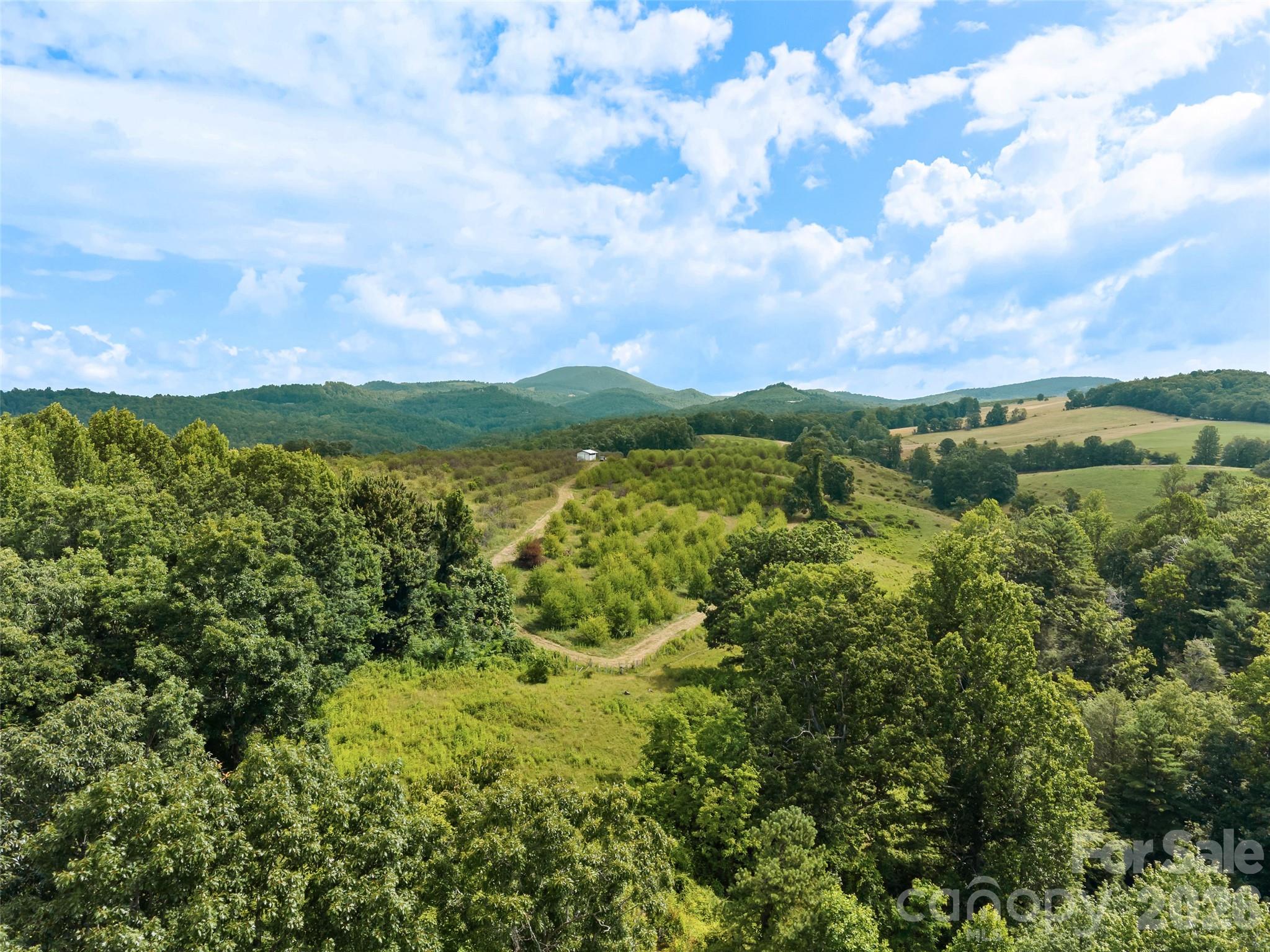 0 Summer Road, Unit 5 Hendersonville, NC 28792 - Photo 6 of 20