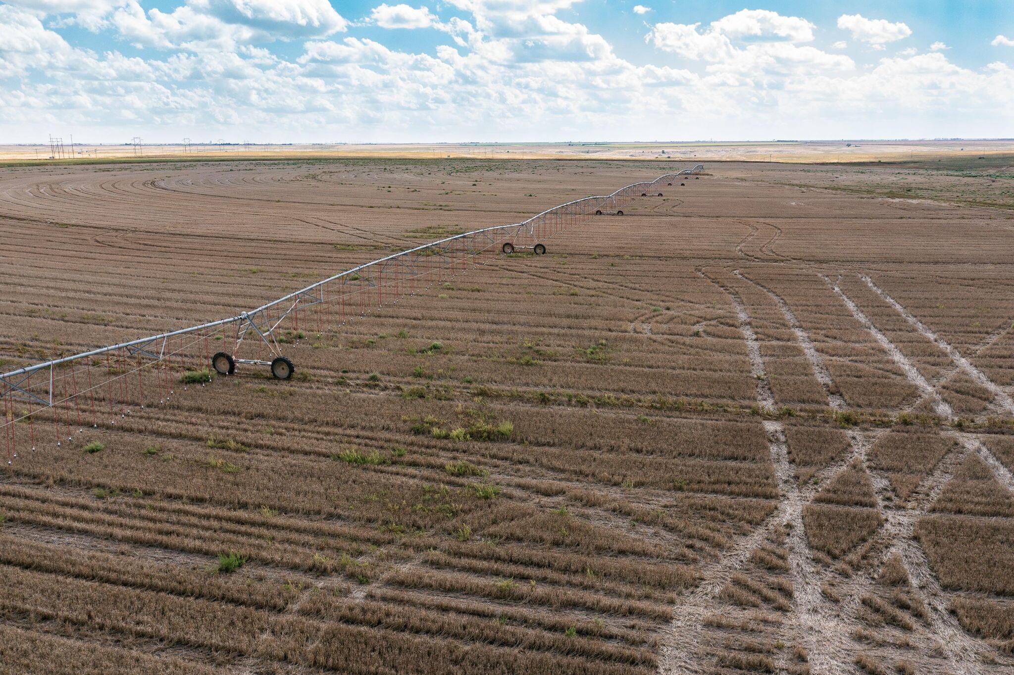 25801 West McAfee Road Wildorado, TX 79098 - Photo 24 of 54 Aerial Photos-23