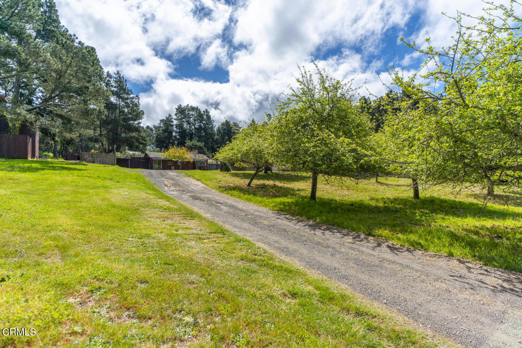 DSC08430-HDR