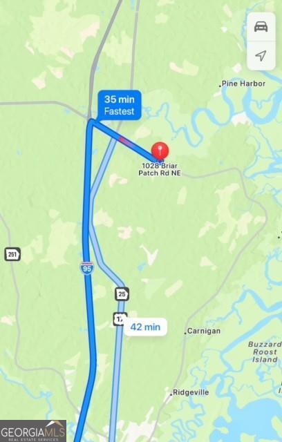 0 Briar Patch Place Townsend, GA 31331 - Photo 6 of 8 See Pinned location address that might work for GPS directions