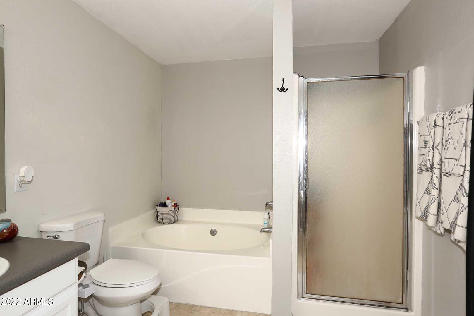 3345 South Bowman Road Apache Junction, AZ 85119 - Photo 27 of 37 Master Bath-Garden Tub