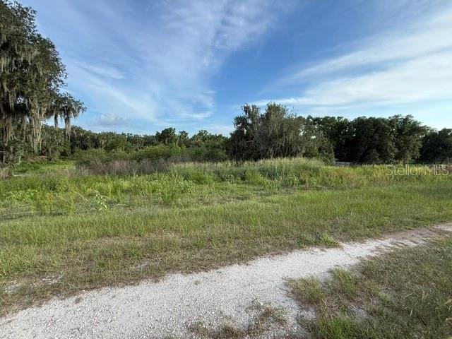 Pool Branch Road Fort Meade, FL 33841 - Photo 12 of 15 a view of a field with a tree in the background