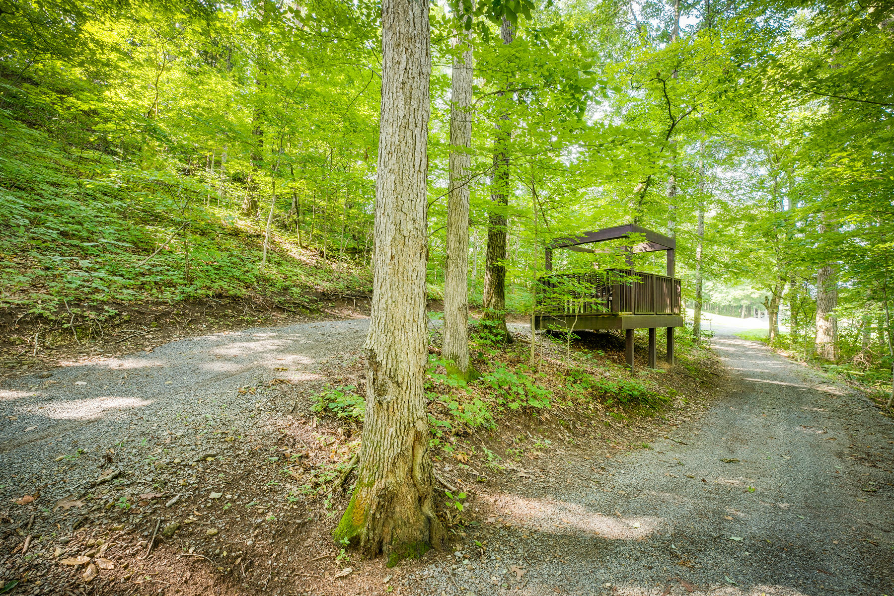 2760 Edinburgh Channel Road, Unit 2760 Kingsport, TN 37664 - Photo 57 of 61 054