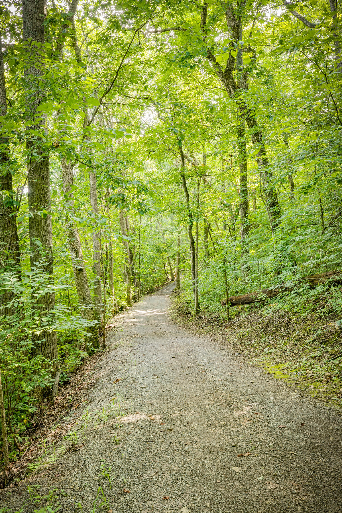 2760 Edinburgh Channel Road, Unit 2760 Kingsport, TN 37664 - Photo 58 of 61 055