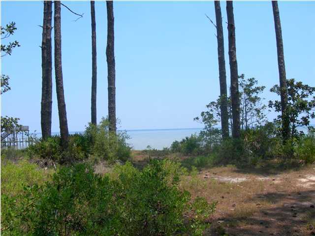 Lot 2 Paradise Point Lane Santa Rosa Beach, FL 32459 - Photo 1 of 4 Primary Photo