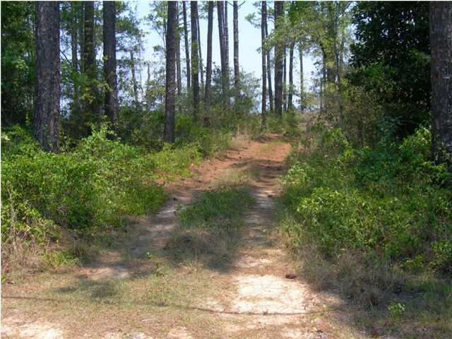 Lot 2 Paradise Point Lane Santa Rosa Beach, FL 32459 - Photo 3 of 4 Additional Photo