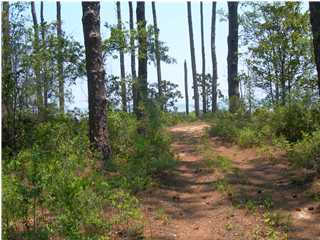 Lot 2 Paradise Point Lane Santa Rosa Beach, FL 32459 - Photo 4 of 4 Additional Photo