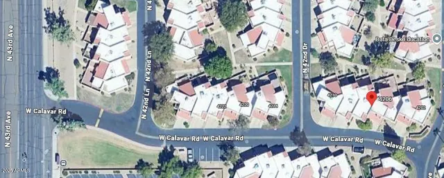 a view of a tree with a tree