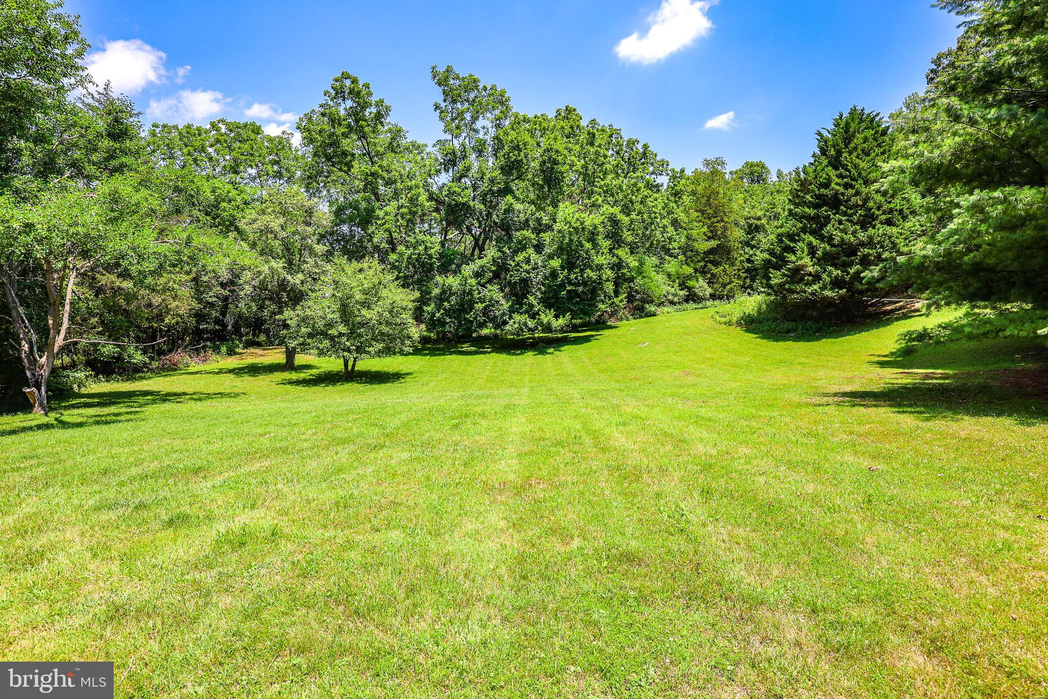 522 Star View Lane Rileyville, VA 22650 - Photo 59 of 83