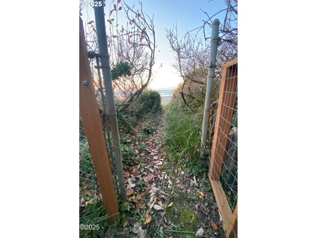 a picture of a tree in front of a house