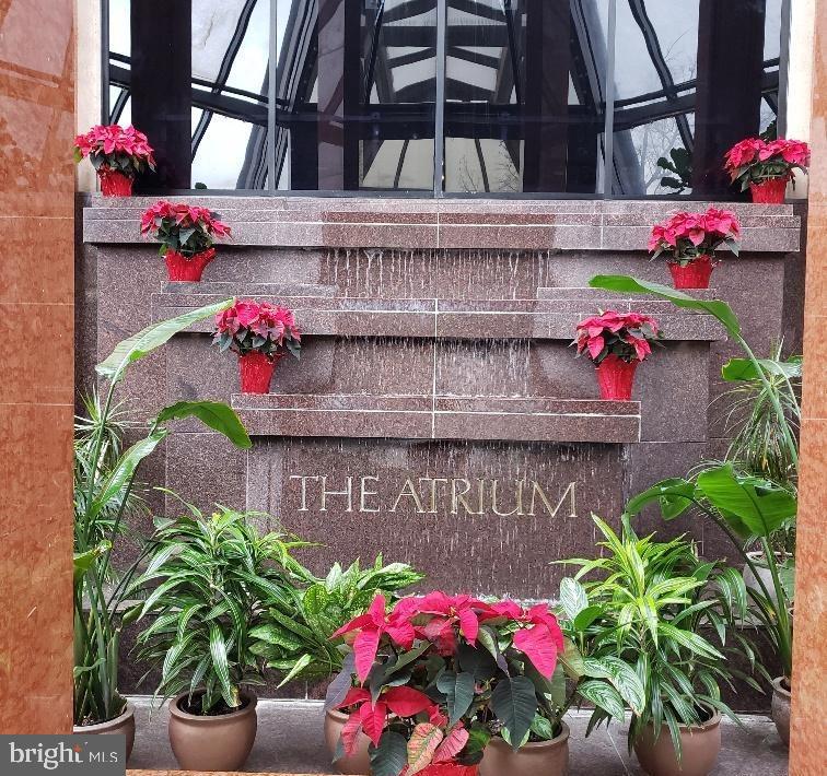 1530 Key Boulevard, Unit 1319 Arlington, VA 22209 - Photo 3 of 30 a flower plants