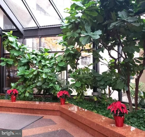 a view of a flower in a lot of flowers