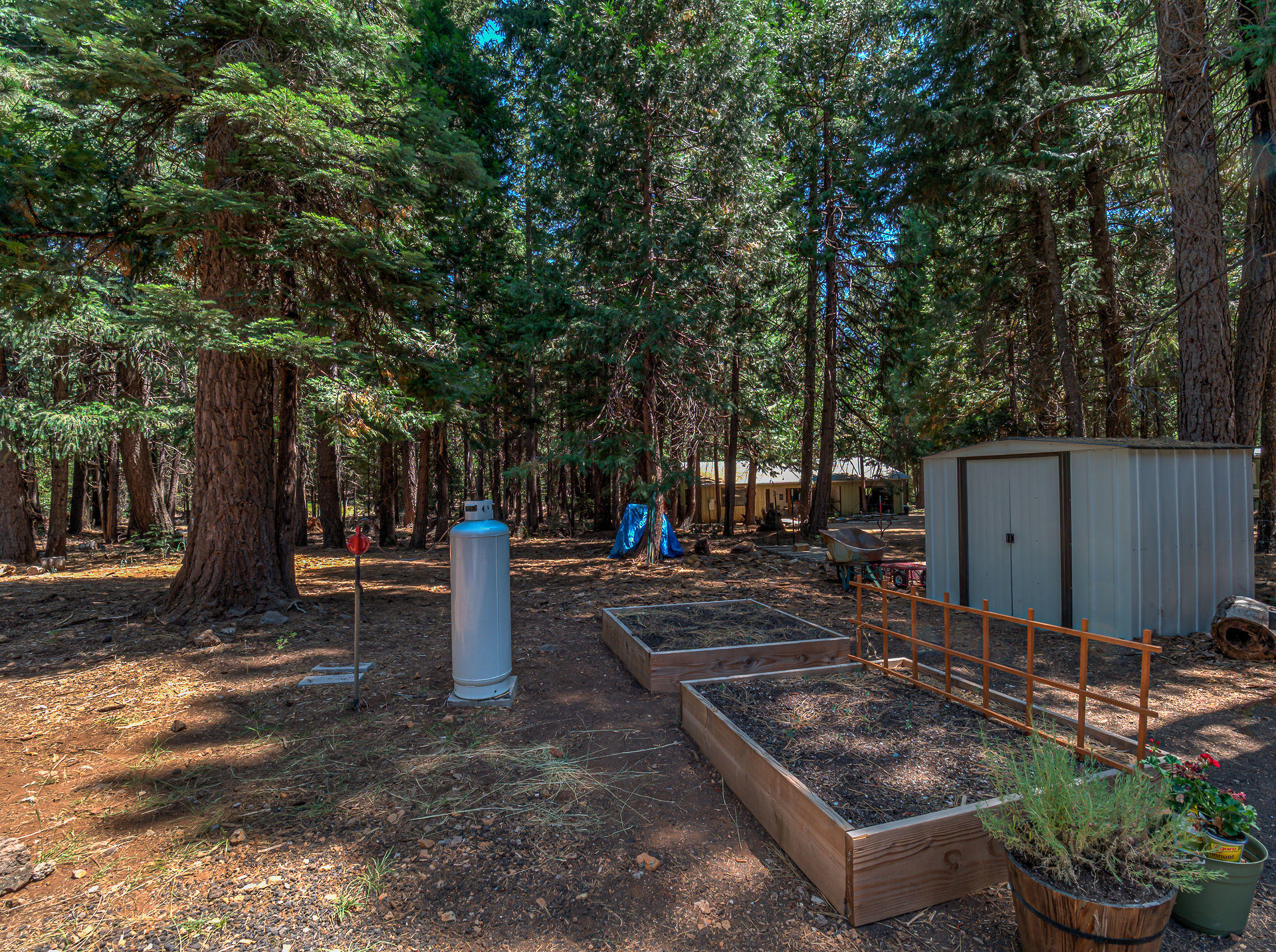 8169 Starlite Pines Road Shingletown, CA 96088 - Photo 26 of 28 8169StarlightPinesext_043_4_5