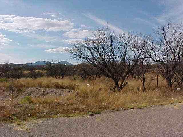 994 Alegre Corte Rio Rico, AZ 85648 - Photo 3 of 3